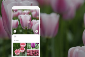 google lens